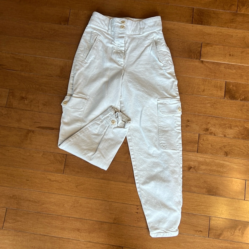Aritzia Wilfred Free Cargo Pant